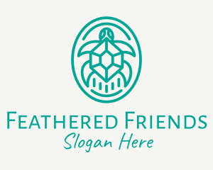 Teal Tortoise Turtle  logo design