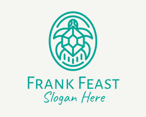 Teal Tortoise Turtle  logo design