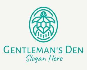 Teal Tortoise Turtle  logo design