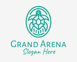 Teal Tortoise Turtle  logo design