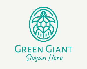 Teal Tortoise Turtle  logo design