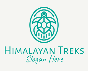 Teal Tortoise Turtle  logo design