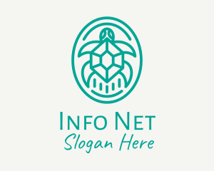 Teal Tortoise Turtle  logo design