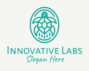 Teal Tortoise Turtle  logo design