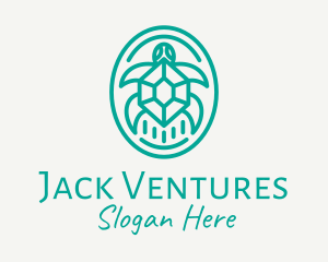 Teal Tortoise Turtle  logo design