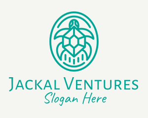 Teal Tortoise Turtle  logo design