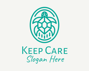 Teal Tortoise Turtle  logo design