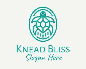 Teal Tortoise Turtle  logo design