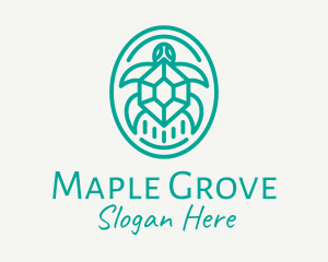 Teal Tortoise Turtle  logo design