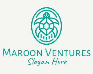 Teal Tortoise Turtle  logo design