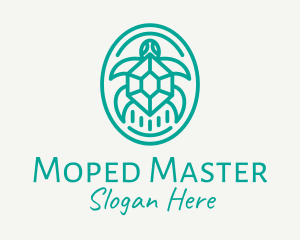 Teal Tortoise Turtle  logo design