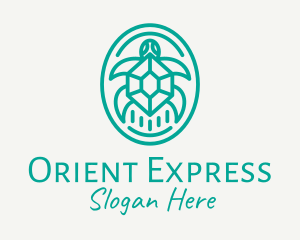 Teal Tortoise Turtle  logo design