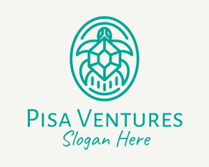 Teal Tortoise Turtle  logo design