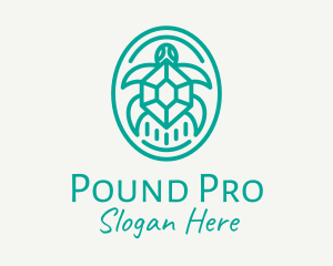 Teal Tortoise Turtle  logo design