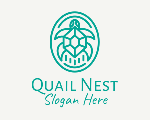 Teal Tortoise Turtle  logo design