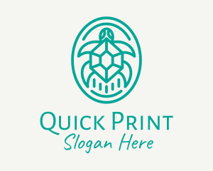 Teal Tortoise Turtle  logo design