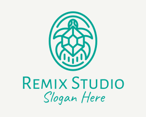 Teal Tortoise Turtle  logo design