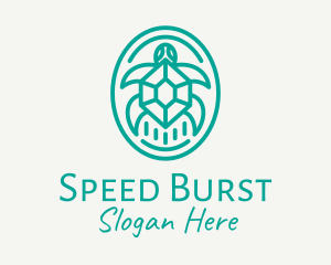 Teal Tortoise Turtle  logo design