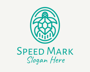 Teal Tortoise Turtle  logo design