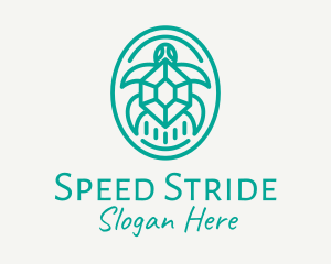 Teal Tortoise Turtle  logo design