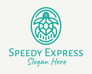 Teal Tortoise Turtle  logo design