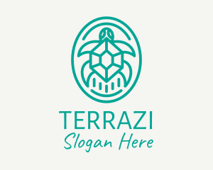 Teal Tortoise Turtle  logo design