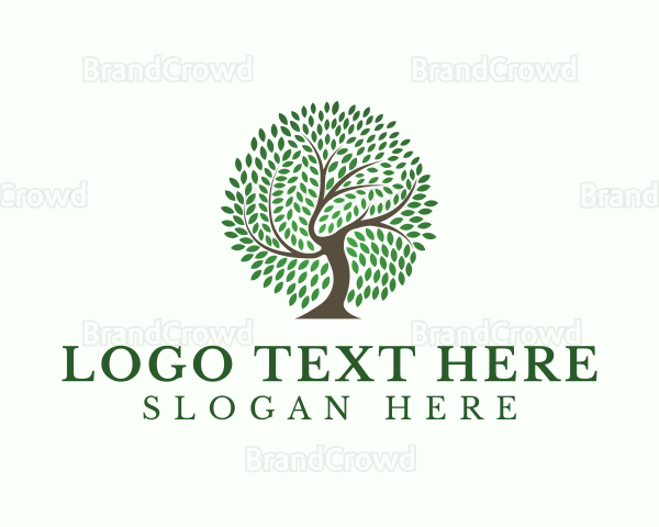 Eco Leaf Tree Logo