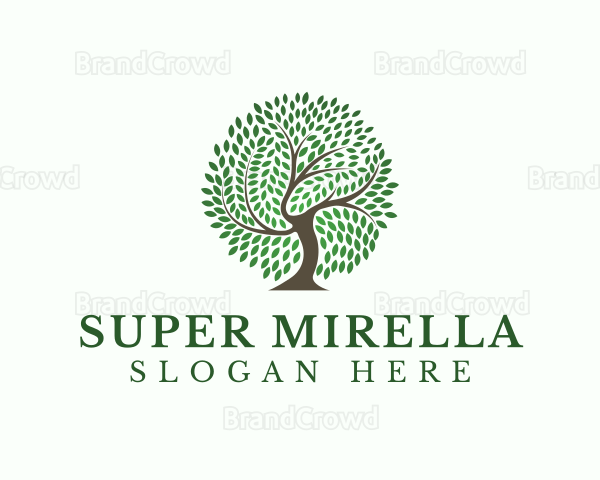 Eco Leaf Tree Logo