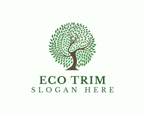 Eco Leaf Tree logo design