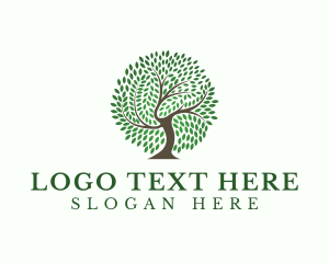 Forest - Eco Leaf Tree logo design