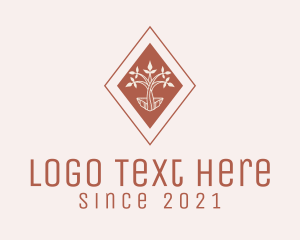 Tree - Brown Diamond Seedling logo design