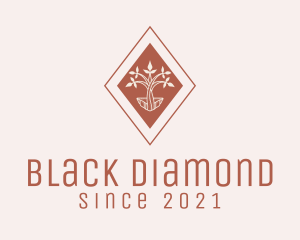 Brown Diamond Seedling  logo design