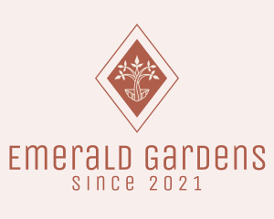 Brown Diamond Seedling  logo design