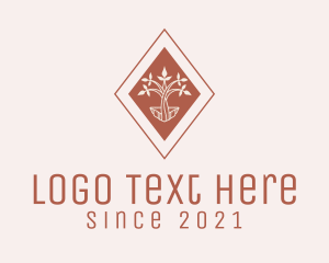 Diamond - Brown Diamond Seedling logo design