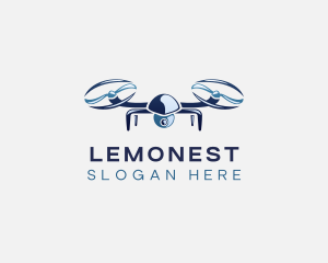 Birds Eye - Security Surveillance Drone logo design