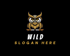 Wild Bird Owl logo design