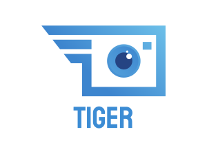 Eye - Blue Fast Camera logo design