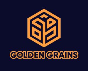 Tech Startup Hexagon Grain logo design