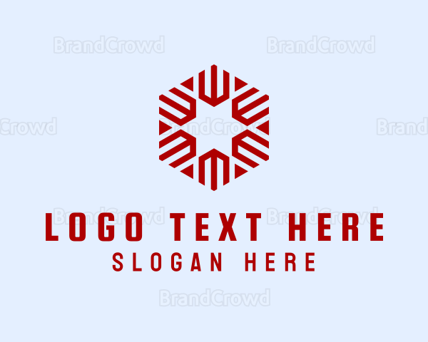 Modern Hexagon Star Logo