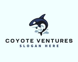 Wild Orca Whale logo design