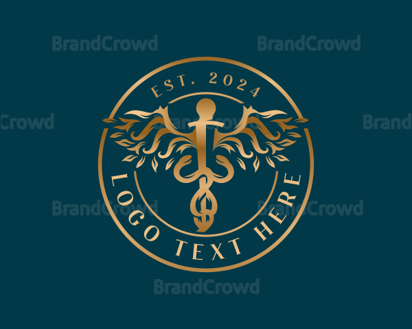 Medical Healthcare Caduceus Logo