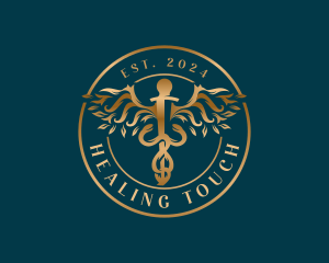 Medical Healthcare Caduceus logo design