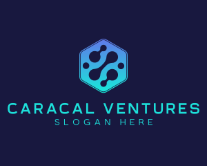 Gradient Digital Hexagon  logo design