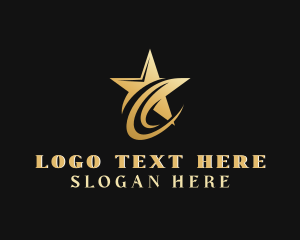 Professional - Generic Swoosh Star logo design