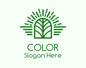 Green Herbal Window Logo