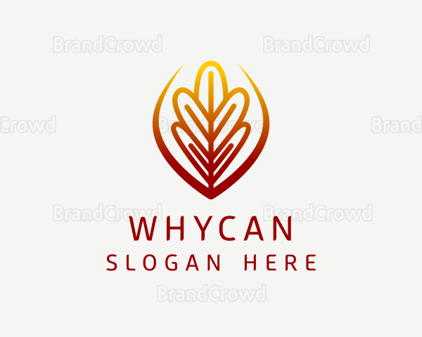 Botanical Garden Leaf Logo