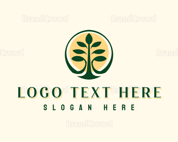 Tropical Forest Tree Logo