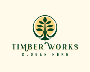 Tropical Forest Tree logo design