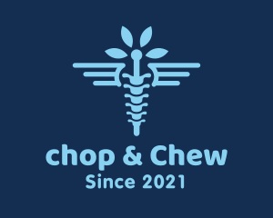 Medical Chiropractic Spine logo design