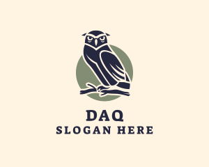 Owl Bird Aviary Logo